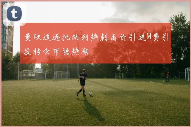 曼联追逐托纳利热刺高价引进M费引发转会市场热潮